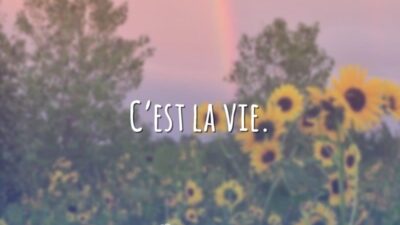 C’est la vie. (É a vida.)