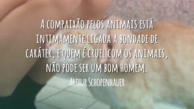 Compaixão pelos animais