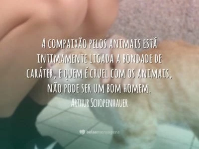 Compaixão pelos animais