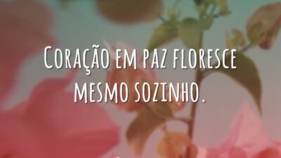 Coração em paz floresce mesmo sozinho.