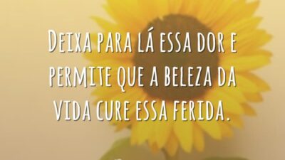 Deixa para lá essa dor e permite que a beleza da vida&hellip;