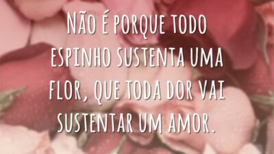 Não é porque todo espinho sustenta uma flor, que toda dor vai&hellip;