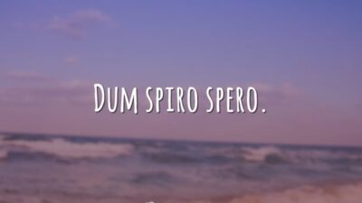 Dum spiro spero. (Enquanto respiro terei esperanças.)