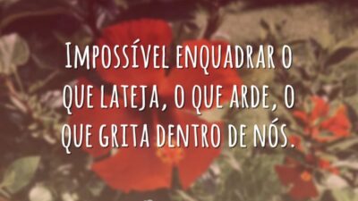 Impossível enquadrar o que lateja, o que arde, o que grita dentro&hellip;