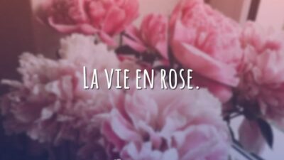 La vie en rose. (A vida cor de rosa.)