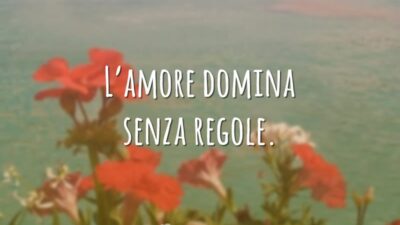 L'amore domina senza regole. (O amor manda sem regras.)