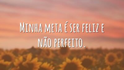 Minha meta é ser feliz e não perfeito.