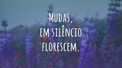 Mudas, em silêncio