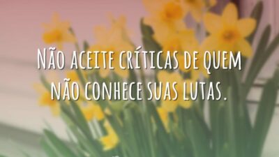 Não aceite críticas