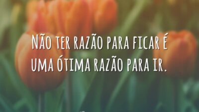Não ter razão para ficar é uma ótima razão para ir.