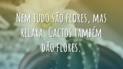 Nem tudo são flores, mas relaxa. Cactos também dão flores.