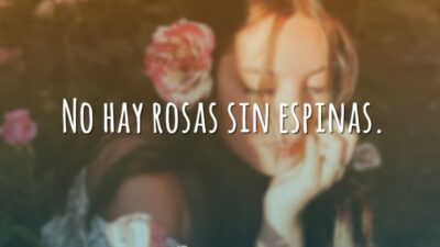 No hay rosas sin espinas. (Toda rosa tem seus espinhos.)