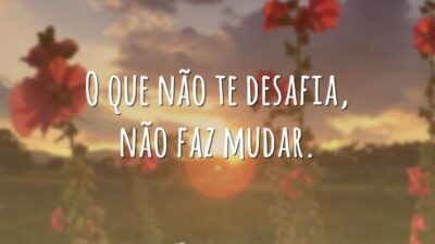 O que não desafia