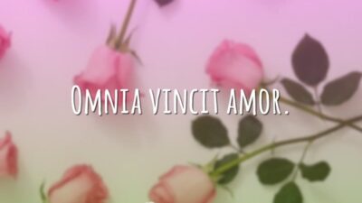 Omnia vincit amor. (O amor tudo vence.)