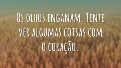 Os olhos enganam