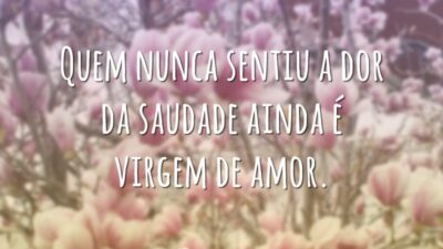 Quem nunca sentiu a dor da saudade ainda é virgem de amor.
