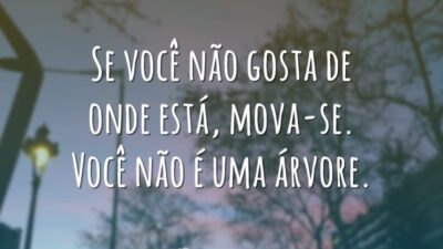 Se você não gosta de onde está, mova-se. Você não é uma&hellip;