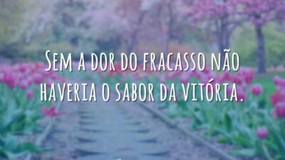 Sem a dor do fracasso não haveria o sabor da vitória.