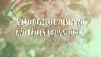 Sem o fogo do entusiasmo não há o calor da vitória.