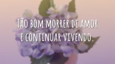 Tão bom morrer de amor e continuar vivendo.