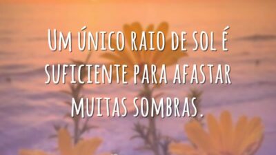 Um único raio de sol é suficiente para afastar muitas sombras.