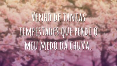 Venho de tantas tempestades que perdi o meu medo da chuva.