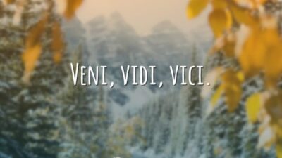 Veni, vidi, vici. (Vim, vi e venci.)