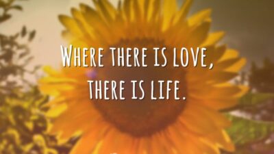 Where there is love, there is life. (Onde tem amor, tem vida.)