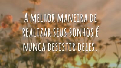 A melhor maneira de realizar seus sonhos é nunca desistir deles.