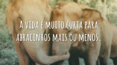 A vida é muito curta para abracinhos mais ou menos.