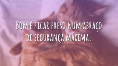 Bom é ficar preso num abraço de segurança máxima.