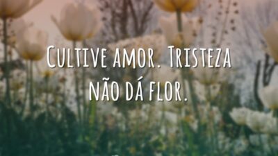 Cultive amor. Tristeza não dá flor.
