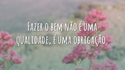 Fazer o bem não é uma qualidade, é uma obrigação.