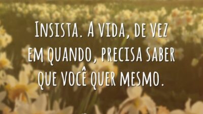 Insista. A vida, de vez em quando, precisa saber que você quer&hellip;
