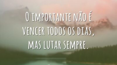 O importante não é vencer todos os dias, mas lutar sempre.