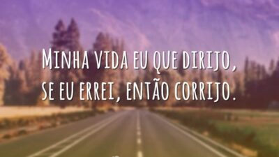 Minha vida eu que dirijo, se eu errei, então corrijo.