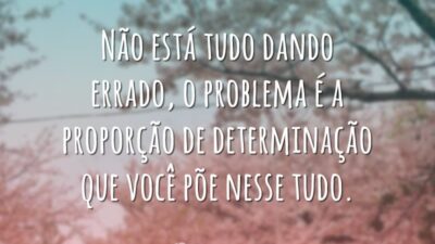 Não está tudo dando errado, o problema é a proporção de determinação&hellip;