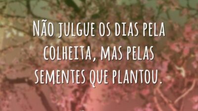 Não julgue pela colheita