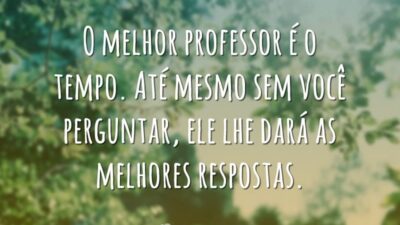 O melhor professor