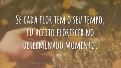 Se cada flor tem o seu tempo, eu aceito florescer no determinado&hellip;