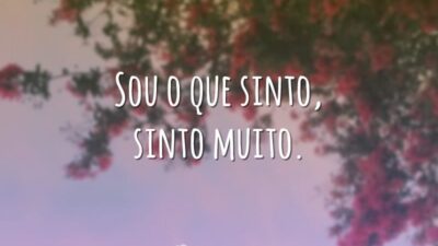 Sou o que sinto, sinto muito.