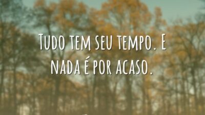 Tudo tem seu tempo. E nada é por acaso.