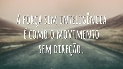 A força sem inteligência é como o movimento sem direção.
