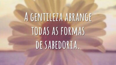 A gentileza abrange todas as formas de sabedoria.
