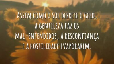 A gentileza constante pode conquistar muitas coisas. Assim como o sol derrete&hellip;