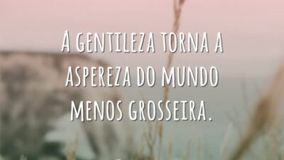 A gentileza torna a aspereza do mundo menos grosseira.