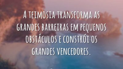 A teimosia transforma as grandes barreiras em pequenos obstáculos e constrói os&hellip;