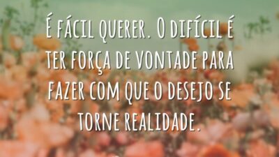 É fácil querer. O difícil é ter força de vontade para fazer&hellip;
