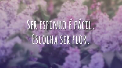 Ser espinho é fácil. Escolha ser flor.