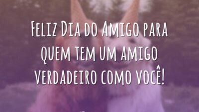 Feliz Dia do Amigo para você